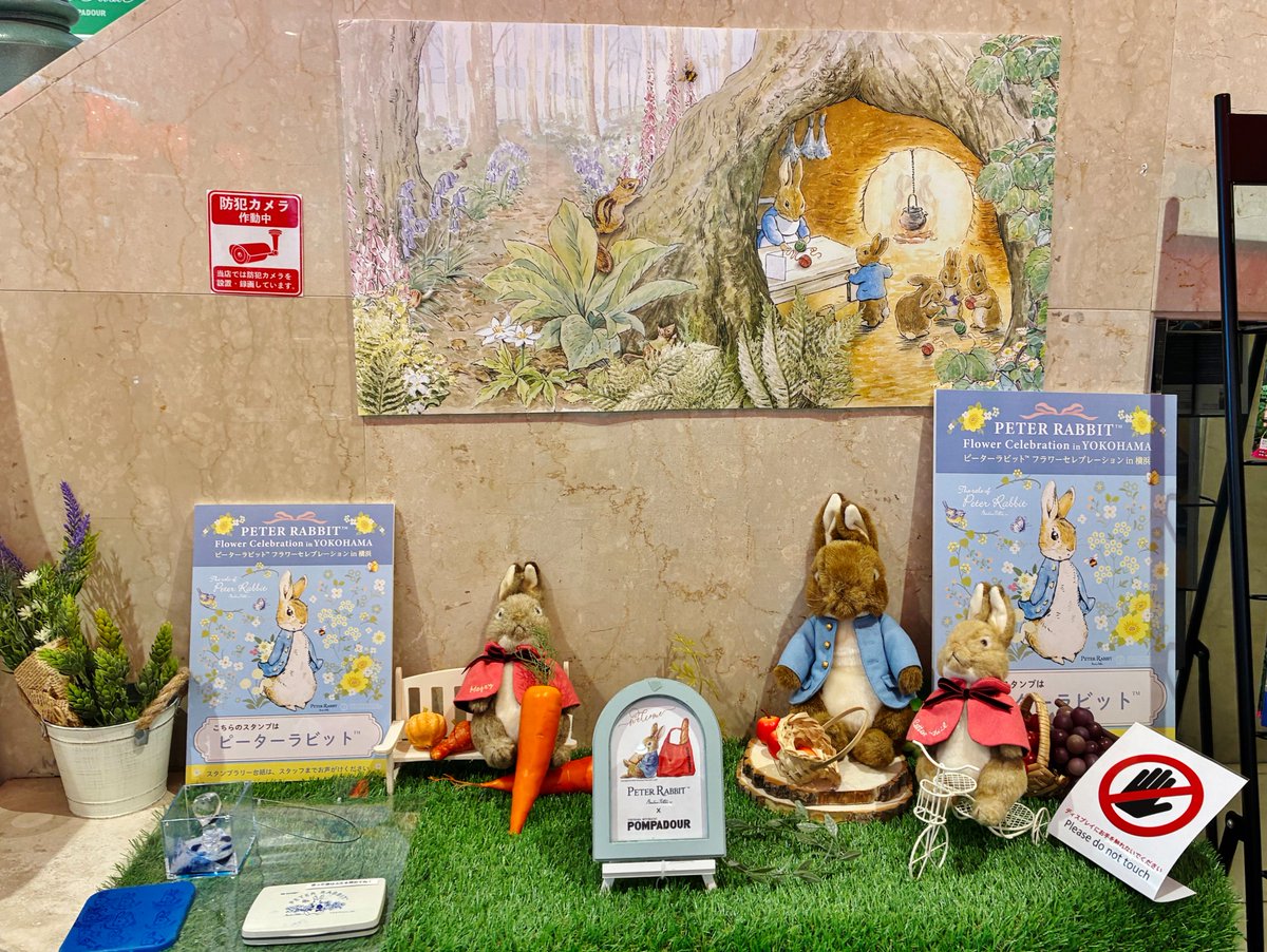 hama_pita's tweet photo. 🐰横浜でピーターラビットのイベント開催✨

Peter Rabbit Summer Celebration in YOKOHAMA が
2026年はパワーアップ🎉

🗺️スタンプラリー
🛍️物販
🍽️コラボメニュー
📸フォトスポット など
📅7/1(水)〜8/31(月)

今年も楽しみです😊
※写真は昨年、元町で撮影📷

👇詳細は公式サイト https://t.co/JG2TKxh6ks
