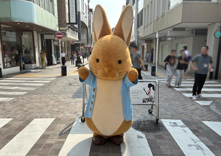 hama_pita's tweet photo. 🐰横浜でピーターラビットのイベント開催✨

Peter Rabbit Summer Celebration in YOKOHAMA が
2026年はパワーアップ🎉

🗺️スタンプラリー
🛍️物販
🍽️コラボメニュー
📸フォトスポット など
📅7/1(水)〜8/31(月)

今年も楽しみです😊
※写真は昨年、元町で撮影📷

👇詳細は公式サイト https://t.co/JG2TKxh6ks