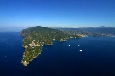 WWFitalia's tweet photo. Le aree protette sono fondamentali per il nostro Paese, ma il Ministero dell'ambiente ha deciso di tagliare i fondi a loro destinati.
Noi però, insieme ad altre associazioni, non ci stiamo👇
https://t.co/pdLlOJn4vI https://t.co/ucdbRoAhzh