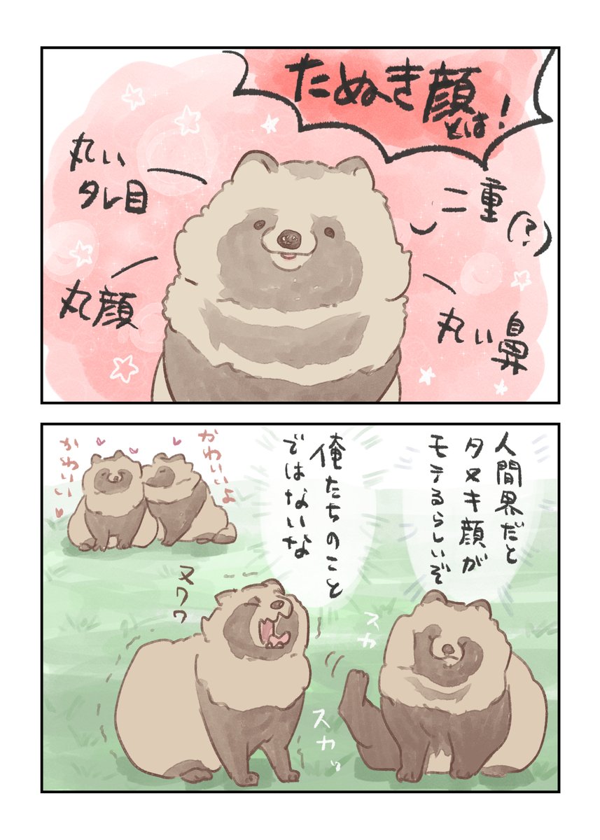 Py0wwK's tweet photo. ＃たぬき
あんまり知らないタヌキの素顔🍃 

「たぬき顔とは」 
タヌキはもしかしたらモテモテかもしれません。 https://t.co/OBy3RL0VI3