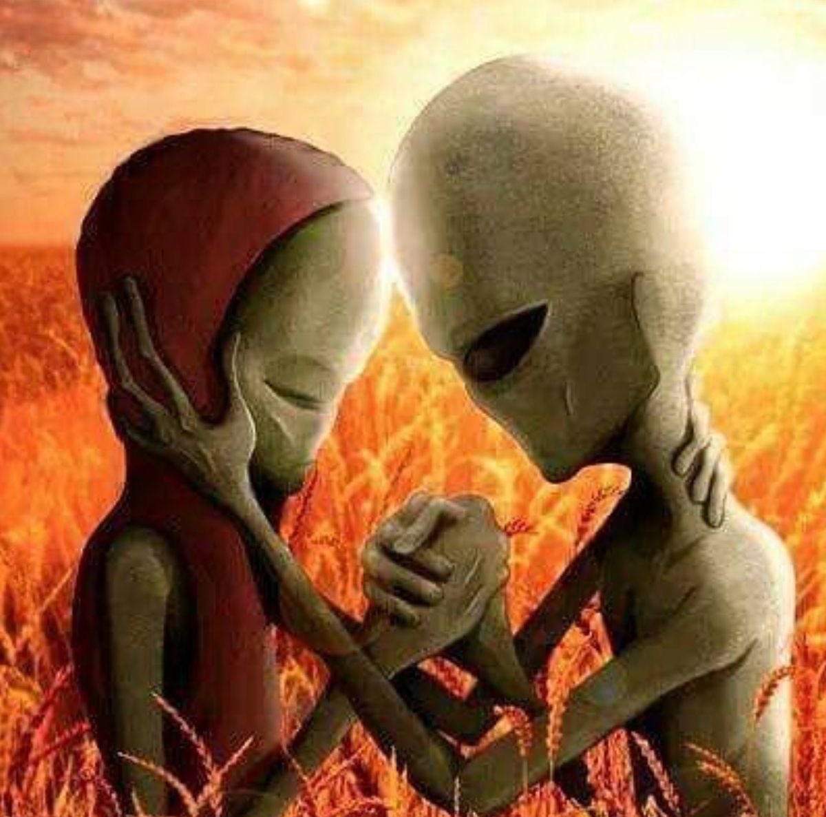 supersnwu's tweet photo. Twin❤️‍🩹 https://t.co/DhBOLRzgYH