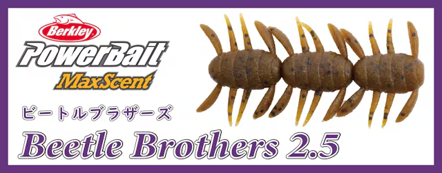 bass_mate's tweet photo. 「バークレイ/パワーベイト マックスセント ビートルブラザーズ2.5インチ」が入荷しました！

喰わせ力が高く好評のマックスセントシリーズに新作が登場。
切り離しても連結状態でも使える沈む虫系ワームです。
https://t.co/PLTFHNHa8P https://t.co/mKuN3nEY09