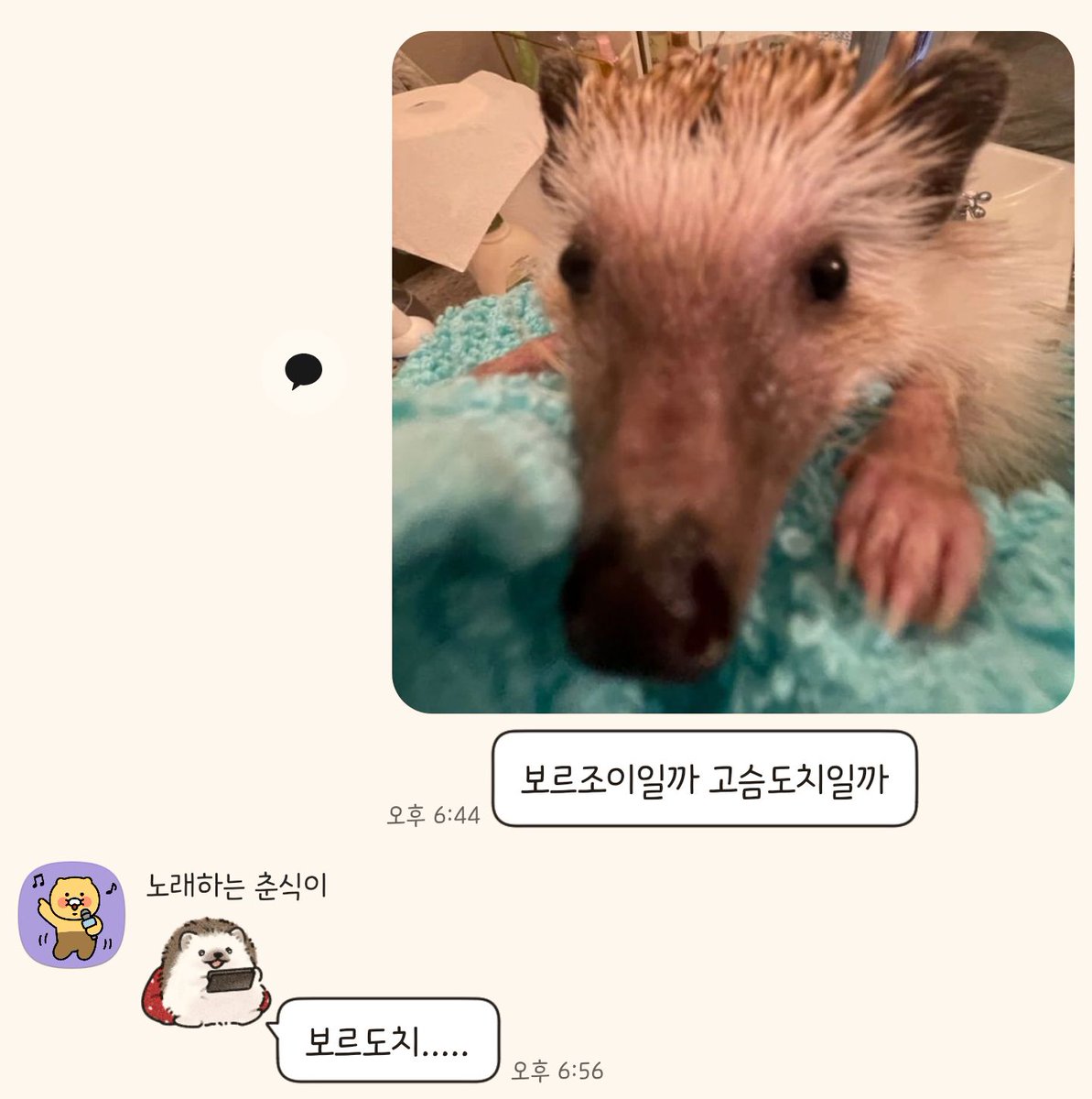 chodae3333's tweet photo. https://t.co/C21MIEEI2m