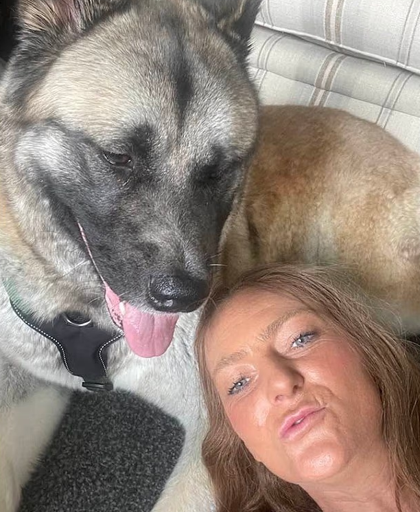 TheGriftReport's tweet photo. A woman who tied her distressed Akita to a lamppost outside a vet in Salisbury before jetting off on holiday to Egypt is being investigated for animal cruelty

Paula Blackwood 47 left the dog named Carla tied up on one of the hottest days of the year when temperatures hit almost 35 degrees with the pet later escaping and being rescued by members of the public

Wiltshire Council has launched an investigation after the incident and confirmed the dog is now in their care receiving treatment while Blackwood faces potential charges for abandoning the animal
