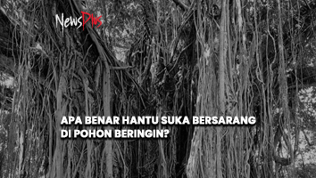 dmsplus_id's tweet photo. 3) #Konon, pohon #beringin adalah salah satu tempat yang disukai juga sama #kuntilanak, #pocong, dan #genderuwo. Banyak juga #orang-orang yang mengaku pernah melihat penampakan dari makhluk-makhluk itu yang menggantung atau berada di dekat #pohon #beringin https://t.co/w80ZtcCsHH