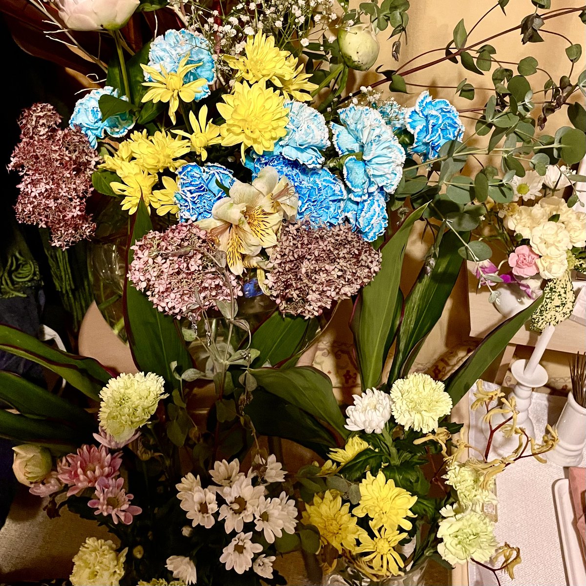 utamomo19's tweet photo. 今日も、あなたに花束を。

今日は水色と黄緑のカーネーションを。

花言葉
水色カーネーション：永遠の幸福
黄緑カーネーション：癒し、純粋な愛情

KAJAさんの花を生け直して

「涼しそうだから良いでしょ」

と言うと

「SHOちゃん みたいや」

と返ってきた（笑）

明日は何の花を買いましょうね、Loveちゃん。

さぁ、今から装飾作品を作って、
今日のステージをバラシに

変わらず側に居てくださいませね。
行ってきますね。

Love KAJA🐢🍑MOMO