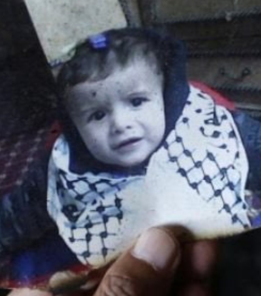 Saif Maher tweet media