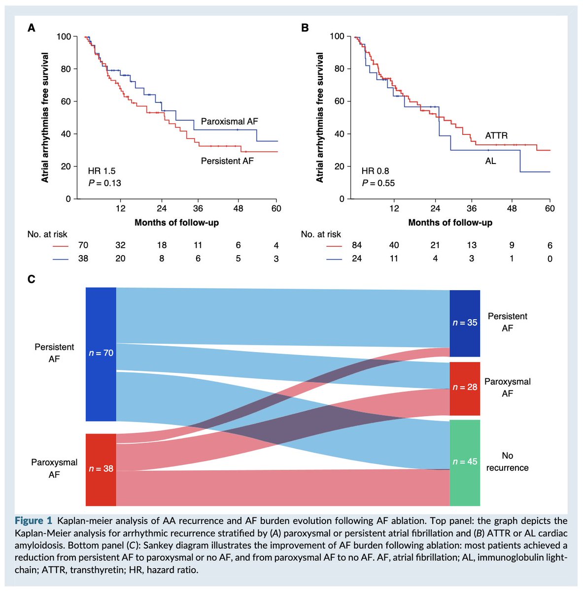 Myeloma_Doc's tweet photo. #Myeloma Paper of the Day: Catheter ablation for atrial fib in transthyretin & AL cardiac #amyloidosis -> 42% freedom from atrial arrhythmia after 2-year f/u; persistent AF recurrence has 3-fold higher risk of heart failure hospitalization & death: https://t.co/vWCB5b1fiF. #alsm https://t.co/1VBf2DV4rk