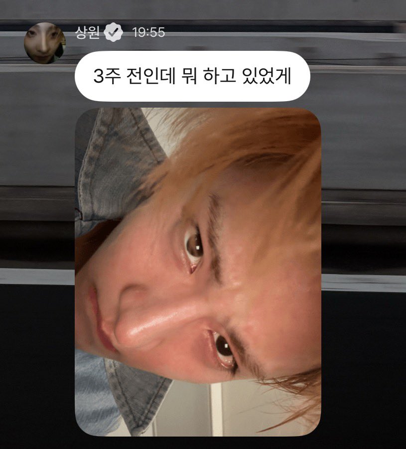 19wons's tweet photo. 260630 #sangwon plus chat 💭 

🥀 it was three weeks ago, guess what i was doing? https://t.co/DGmIy0FybZ