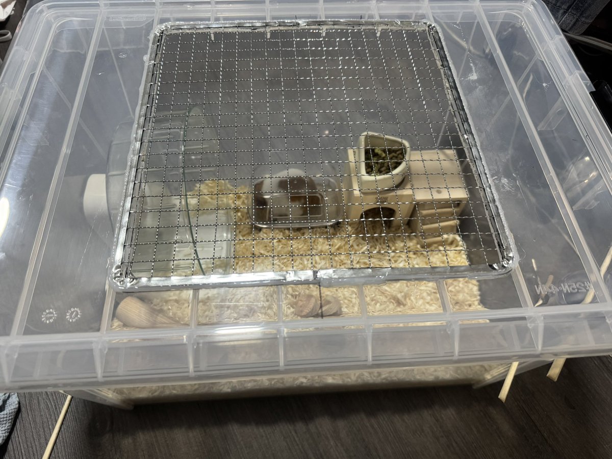 0i_otya's tweet photo. 最初に買った既製品のケージが狭そうなので自作ケージにお引っ越し https://t.co/E5T6N2w6xH