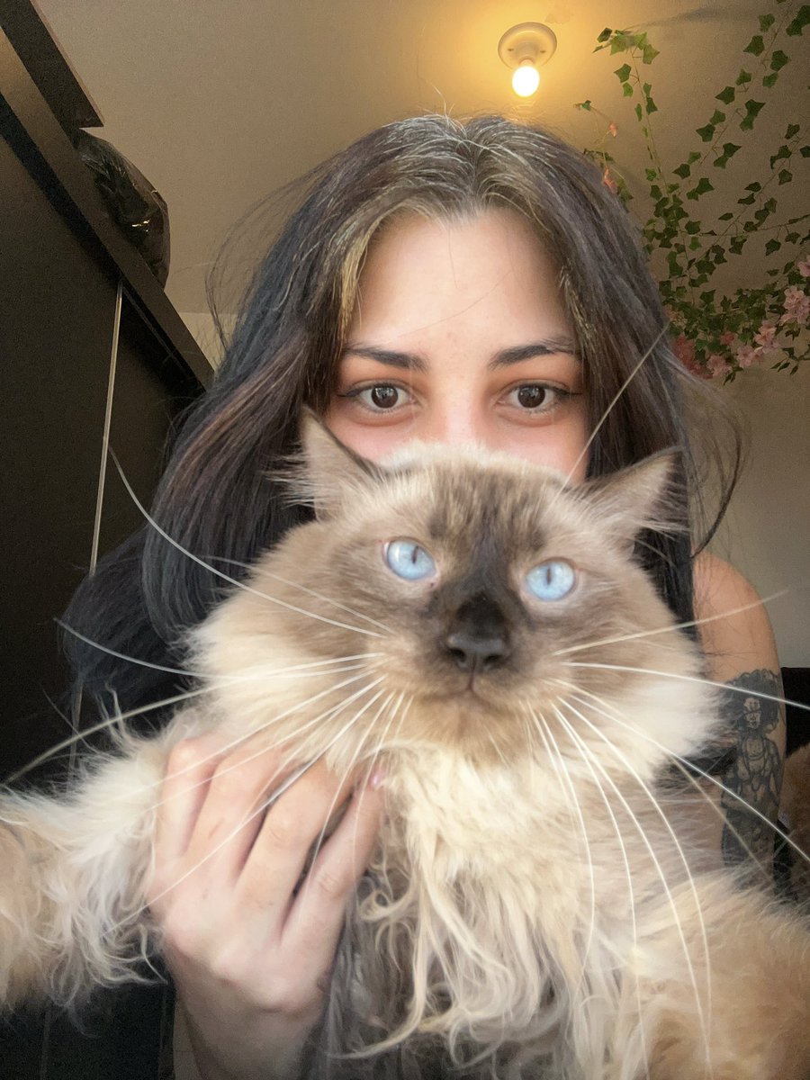 koolizie's tweet photo. Meus amorzinhos 🥹🩷 https://t.co/UM01bWOVbe