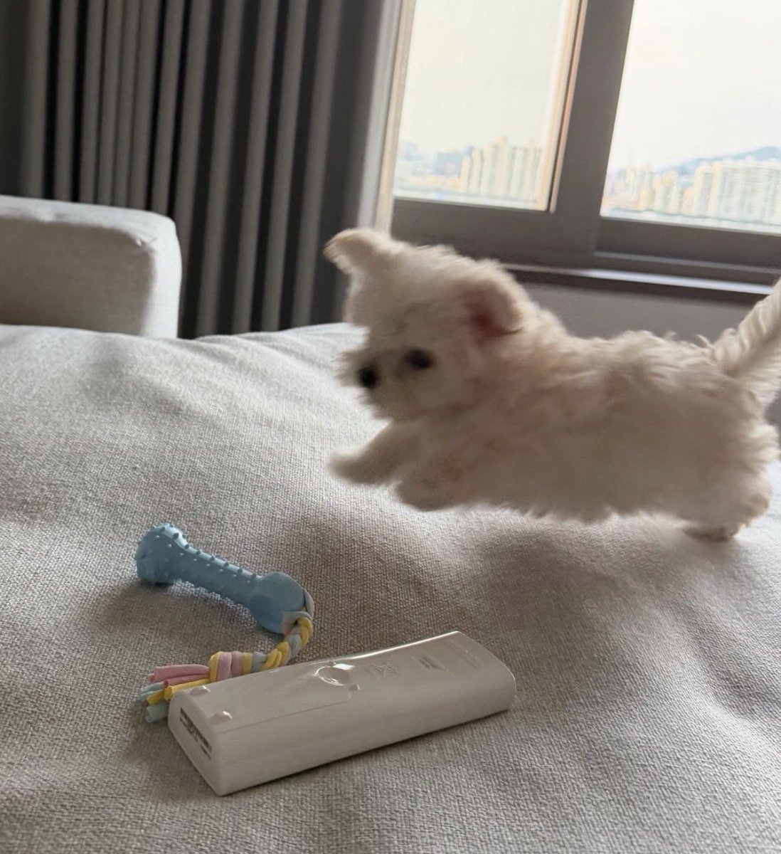 JessiElyse_'s tweet photo. แล้วตัวชีใหญ่กว่ารีโมทนิดเดียว 555555 https://t.co/zZKMqUV4a9