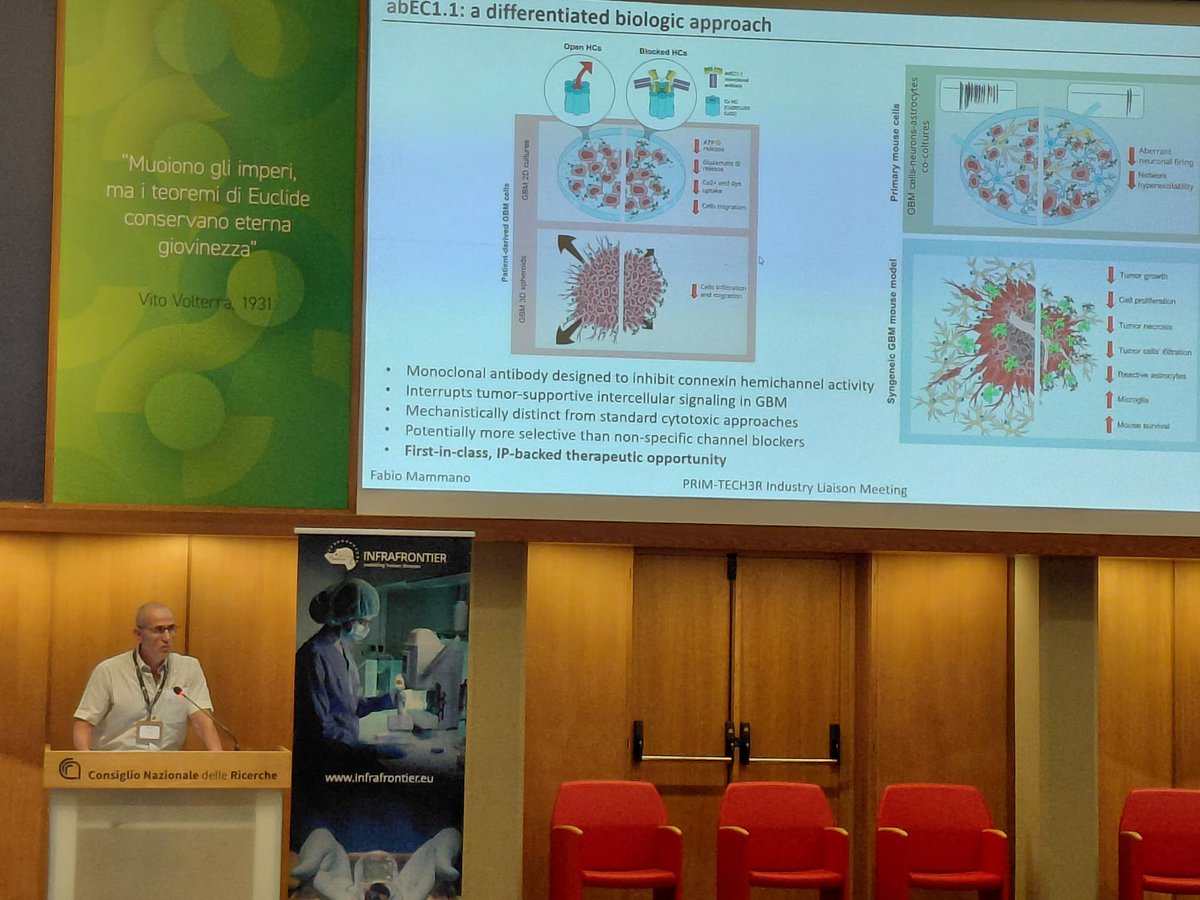 Cnr_Ibbc's tweet photo. #PRIMTECH3R Industry Liaison Meeting at #CNR kicked off! Partners met stakeholders to explore industry needs. #IBBC presented projects by Mammano, Parisi & Gori validating #NAMs to reduce animal use under 3R principles. Building bridges for future Open Calls. 🧬🔬 @CNRsocial_ https://t.co/5SmGoiL9dq