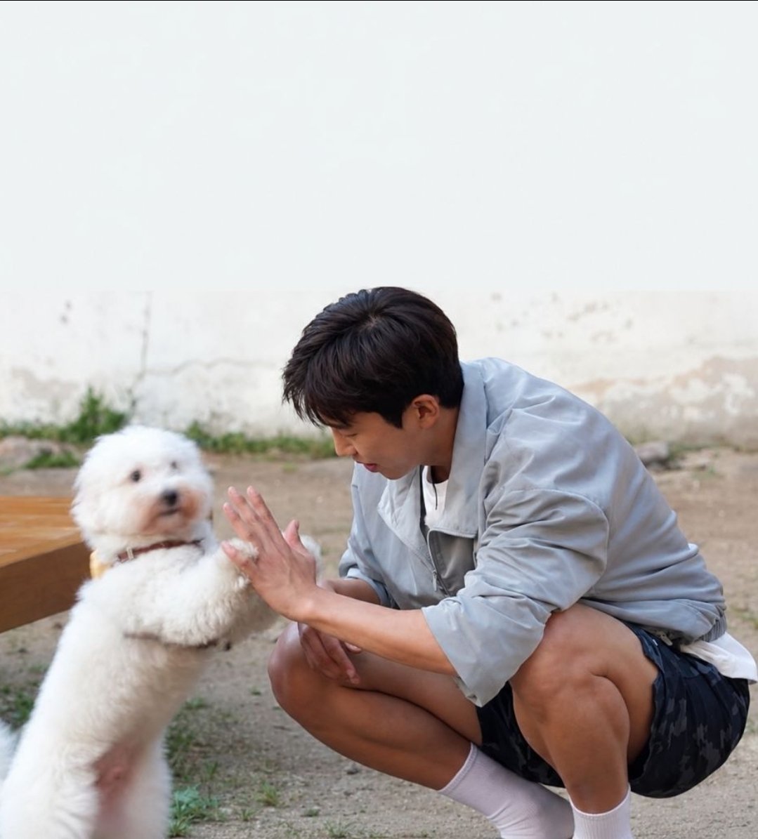 MoL9dKAzAS8283Y's tweet photo. 오늘밤 9시 sbs-TV 함께 보러가요^^
#산골총각영웅_특급손님
#두댕댕이_힐링충전소 https://t.co/14LMWinwTz