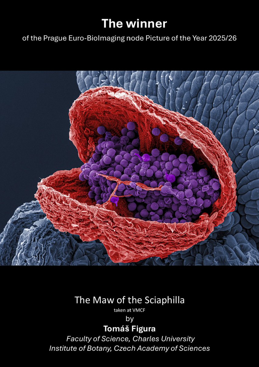 Imaging Methods Core Facility at BIOCEV tweet media