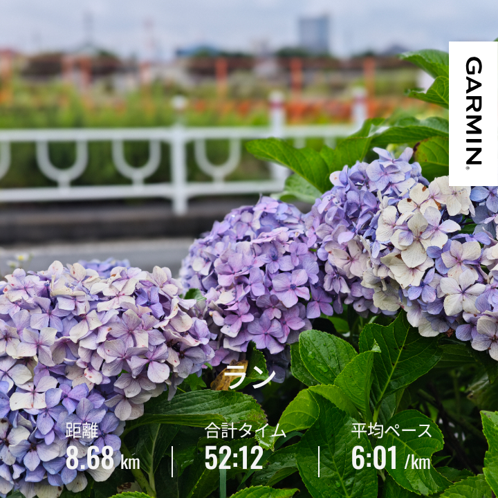 PoteGata's tweet photo. こんばんは、走りました！
9km弱走って、12km通勤チャリ。

今日は25-26度と走りやすかった…！気温は！湿度は高い！！

明日はプロレス見に行きます！
ビッグマッチなので楽しみ～🤩 https://t.co/xYlKbxxtJt