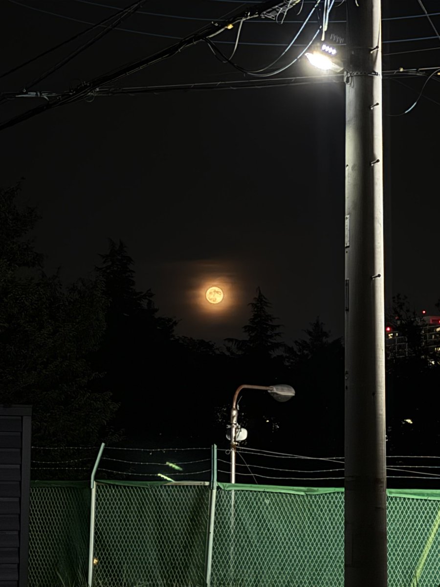 SUNCOMPO's tweet photo. 本日ストロベリームーンだとか🌕 https://t.co/sWbL8dEmb7