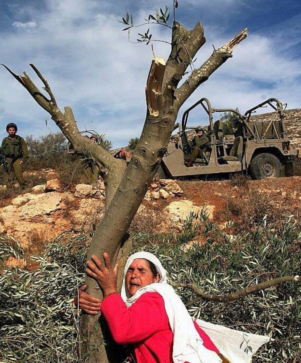 supressedvoic's tweet photo. Palestine belongs to Palestinians only. https://t.co/UGB7vmIsXw