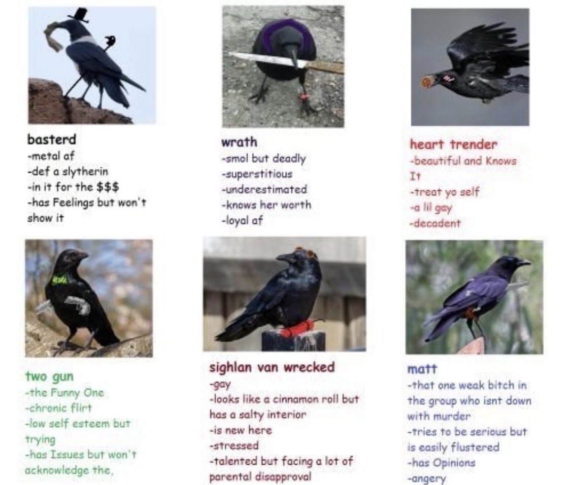 CAW Hunters tweet media