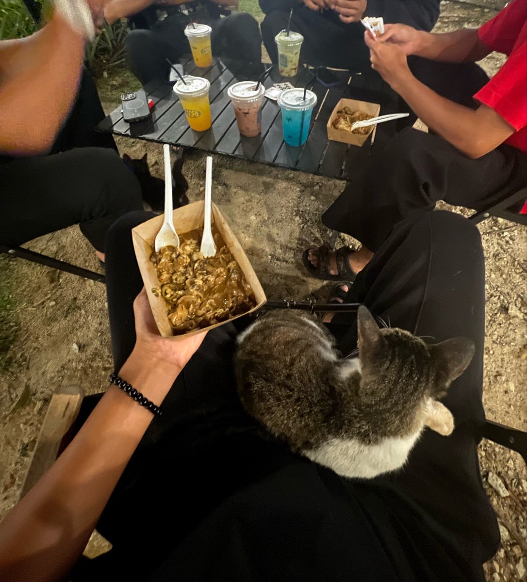Ronnn1314's tweet photo. pergi mana mana mesti kucing datang pastu tidur kat aku, kenapa ek? https://t.co/ACy7r4aWQD