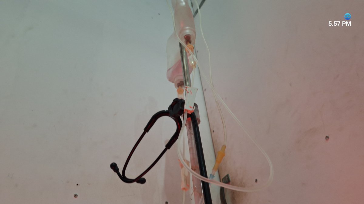 infomitigasi's tweet photo. Update Kondisi Kucing yang  kemarin dievakuasi saat terjebak di Aspal.. kondisi pukul 18:00 WIB 30/06/2026
kata dokter belum lepas dari masa kritis, kita semua berharap kucing ini mampu melewati masa kritisnya dan berangsur membaik kondisinya....
untuk link donasi:
https://t.co/lnvRH31ooi