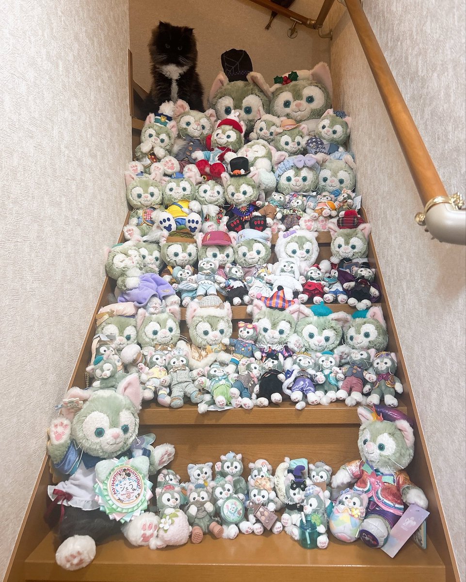 nU0w0pYq0x07n's tweet photo. 💚🐱🎨ジェラトーニ
　𝗛𝗮𝗽𝗽𝘆 𝗕𝗶𝗿𝘁𝗵𝗱𝗮𝘆 🎨🐱💚

初めて我が家のぬいぐるみ類かき集めたんだけど、想像以上に豪徳寺化してたわ😆

そして、またもや映り込みにゃんこレイル氏(´･ᴗ･`;) https://t.co/CDMiJ3vgnR