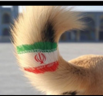 MakkiRefai's tweet photo. @MoNasarRawdhan لا تنسى تأخذ علاج ارتفاع الحراره تحميله الميرندا 
ياذنب المجوس من صيدليه عبّده ميرندا 
المخزون وفير ومحاني https://t.co/zuNAGczbg5