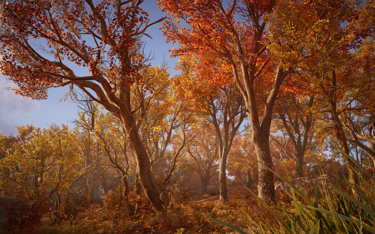 fridrssvardagi's tweet photo. The Colors of Lincolnscire 🍂
#AssassinsCreed #AssassinsCreedValhalla #ACValhalla #ACFinest #ACPhotoMode #AssassinsCreedPhotoMode #VirtualPhotography #ACUVP https://t.co/mHHhNJ7WEN