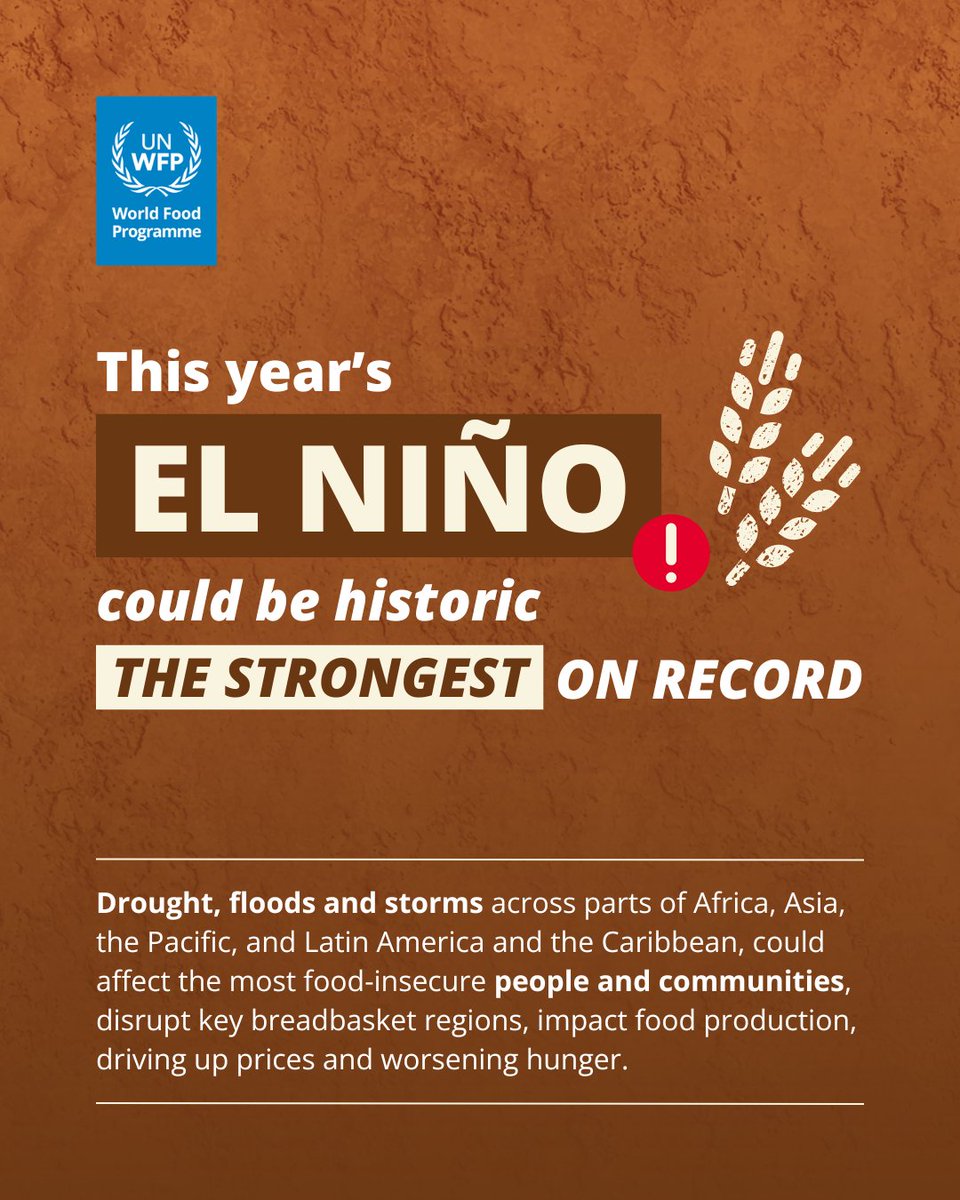 WFP tweet picture