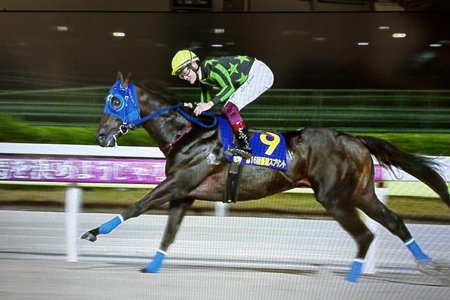 offtshiodome's tweet photo. 本日の優駿スプリントの優勝馬は　笹川翼騎手騎乗の　ゼロース号でした。
関係者の皆様　おめでとうございます。 https://t.co/BzxWaXv47O