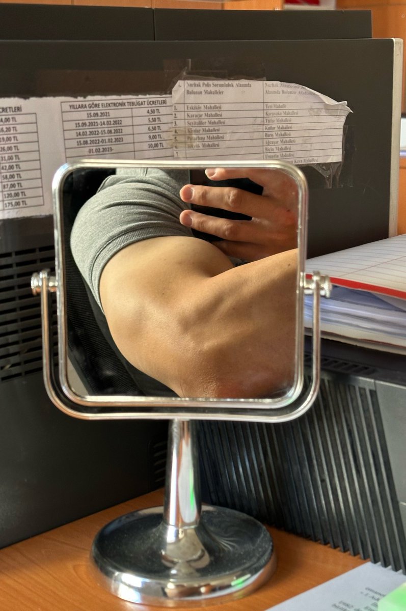btuonerr's tweet photo. vatan, millet, triceps https://t.co/5tp4tdmqNp