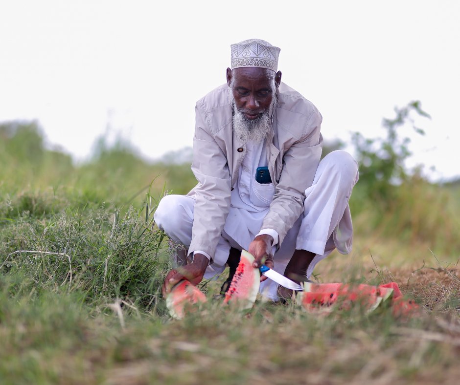 WFP_Kenya's tweet photo. In Garissa, support from Zoetis Foundation is helping farmers unlock the potential of year-round agriculture.

A solar-powered irrigation system installed at Nadhir farm enables farmers to draw water from the River Tana 💧supporting food production, strengthening livelihoods, and building resilience to climate-related shocks.