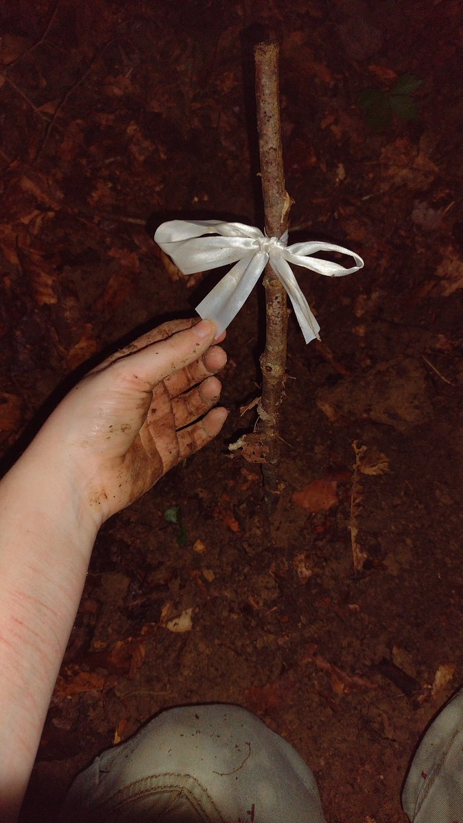 LiterallyChive's tweet photo. I buried it yesterday so I can dig up its bones once it decays. https://t.co/ibftsDxxVn