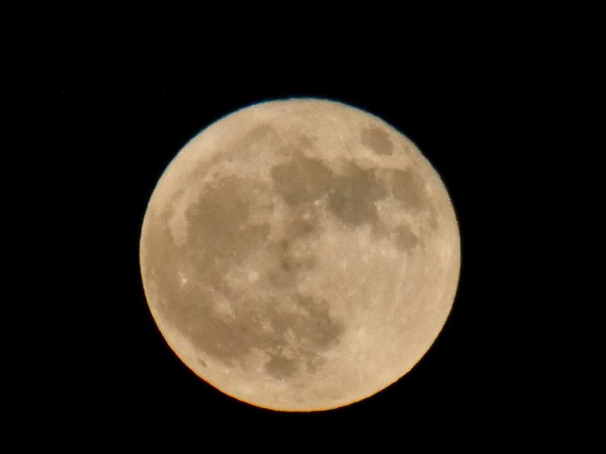 kumachon_mh3's tweet photo. 満月撮ってみた
300mm(35mm換算600mm)で4Xズーム
月撮るのむずい
#lumix
#g9pro https://t.co/wURzZSFcdj