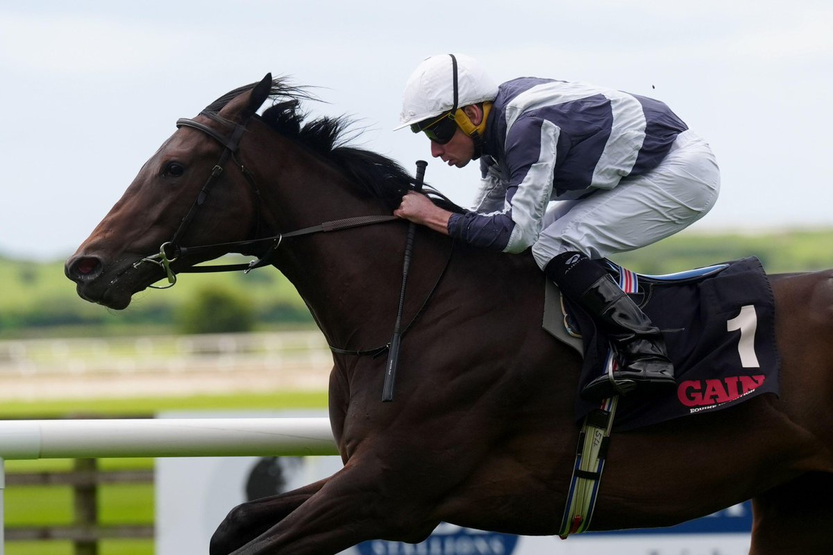 Timeform tweet media