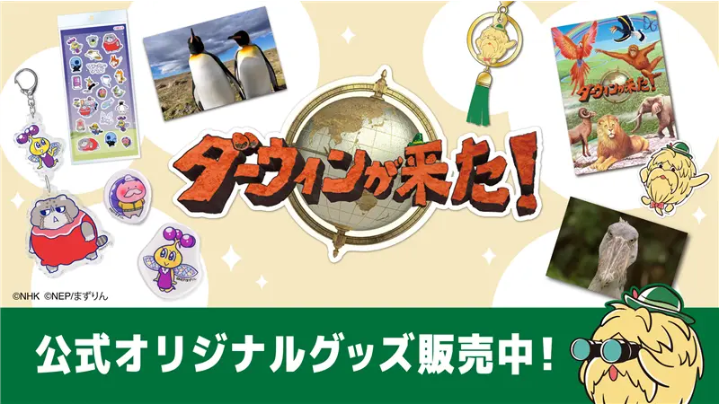 darwin_zoo's tweet photo. リニューアル新情報②

🔍「ダーウィンが来た！」のグッズが
ついにオンラインで買えるようになりました！

こちらの公式オンラインショップからダーウィンのオリジナルグッズが見られます🛍️✨
https://t.co/9N0Bkqo7Gr
☝️ぜひチェックしてみて下さい☝️

#ダーウィンが来た
#みんなのダーウィン https://t.co/Q2xu9KkQ4X