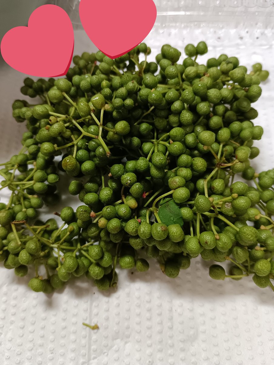 Pfirsichsaft2's tweet photo. 実山椒、そろそろ終わりの時期なので少し多めに購入。鶏つくねに入れると評判いいのでアク抜き中。 https://t.co/lr2oxua1Wu