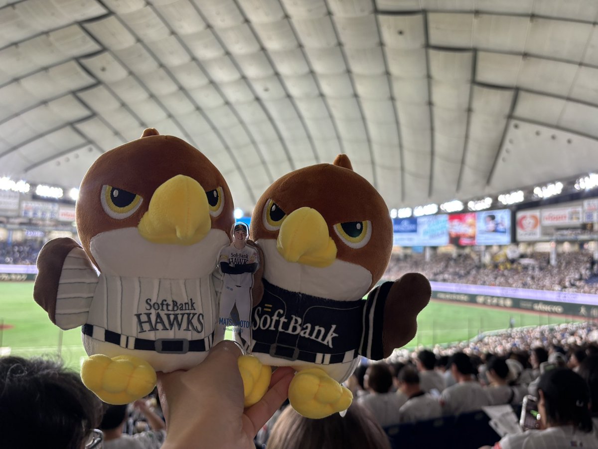yu_23_66's tweet photo. たかほー！！！ https://t.co/8S5M4Np6M8