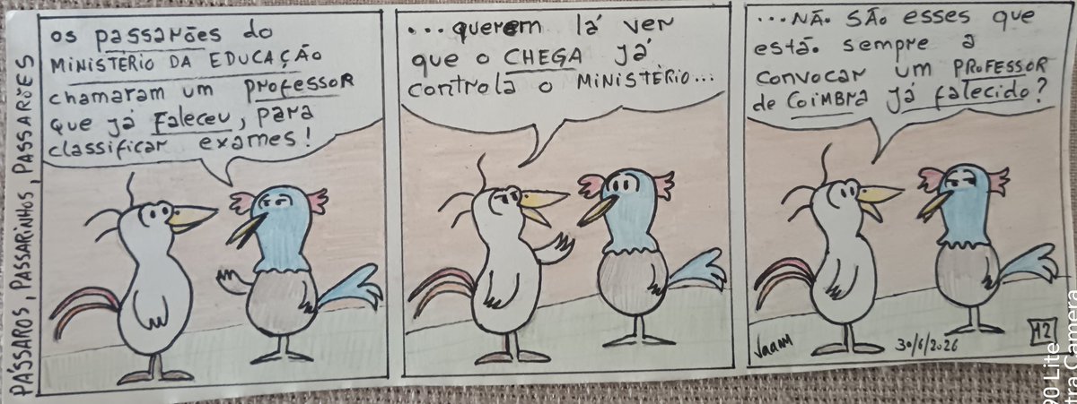 venerandomatos's tweet photo. BêDêZine: PÁSSAROS, PASSARINHOS, PASSARÕES (12) https://t.co/4K1o7GqoxO https://t.co/ScM7y370dy