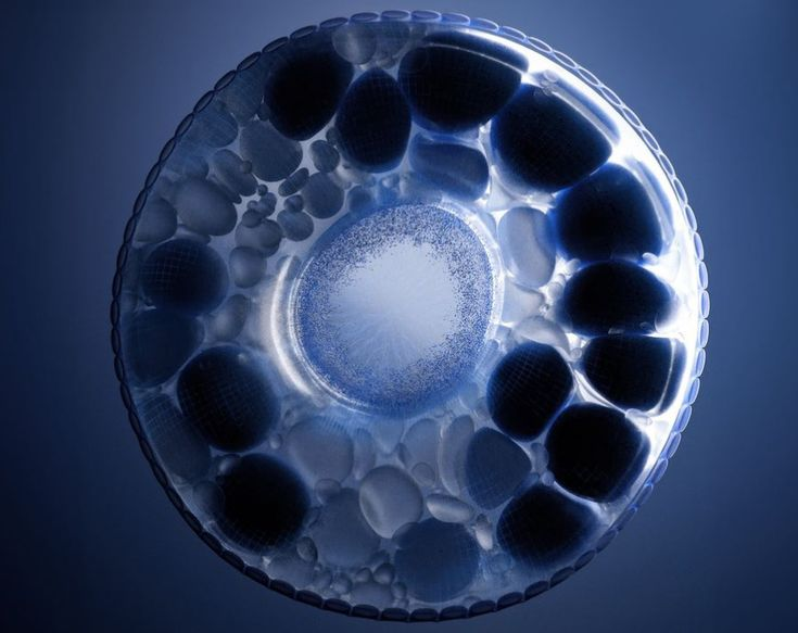 forallcurious's tweet photo. JUST IN🚨: Psilocybin does to your cells that shocked scientists — It extended human cell lifespan by up to 57% in lab conditions, preserved telomere length, and lowered oxidative stress. https://t.co/9p7IrS6AEo