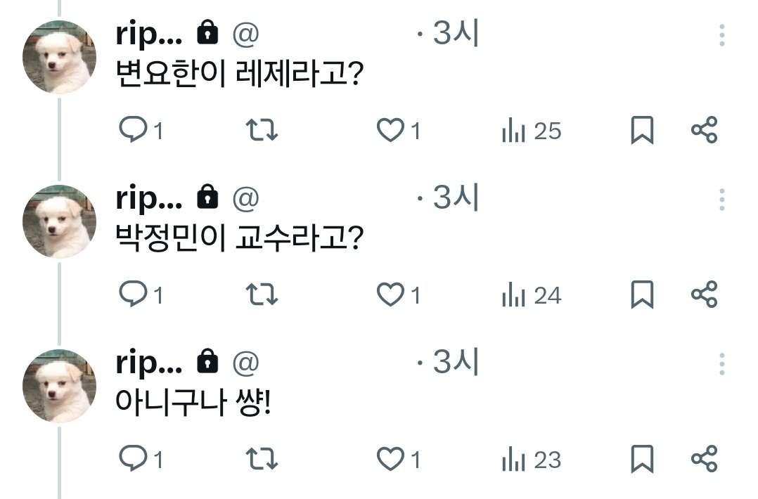 augvertq's tweet photo. 들개 봤음 https://t.co/165QiJxuq0