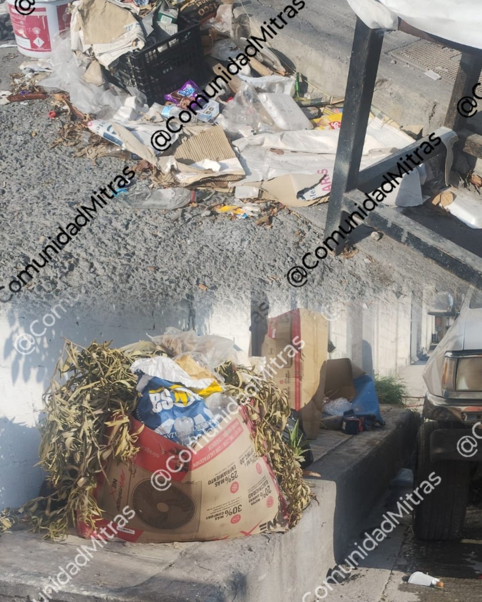 ComunidadMitras's tweet photo. 🧹🗑️#Recolecion
Cacharros en Vía Pública
📍 José R Peña entre Castelar y San Jose
Col Pio X
64710 #Monterrey
@ServPublicosMty
📝#ChatBot072 601089
#ComunidadMitras https://t.co/z6ckPiNhsz
