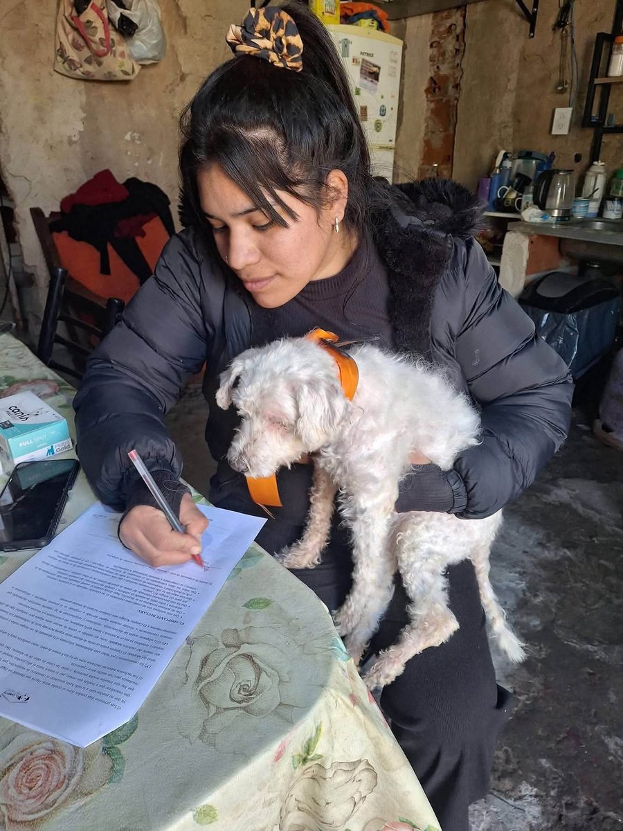 elcampito's tweet photo. Terak tiene una condición particular: sus ojitos no atrapan la luz, no ve. Pero ve con el corazón.🧡
Hoy estamos felices de contarles que encontró una familia hermosa! 🥰

¡¡Que sean inmensamente felices juntos!!

¡¡¡TERAK ADOPTAAADOOO!!! 🥳🥳🥳👇 https://t.co/PqVRYYXd6Z