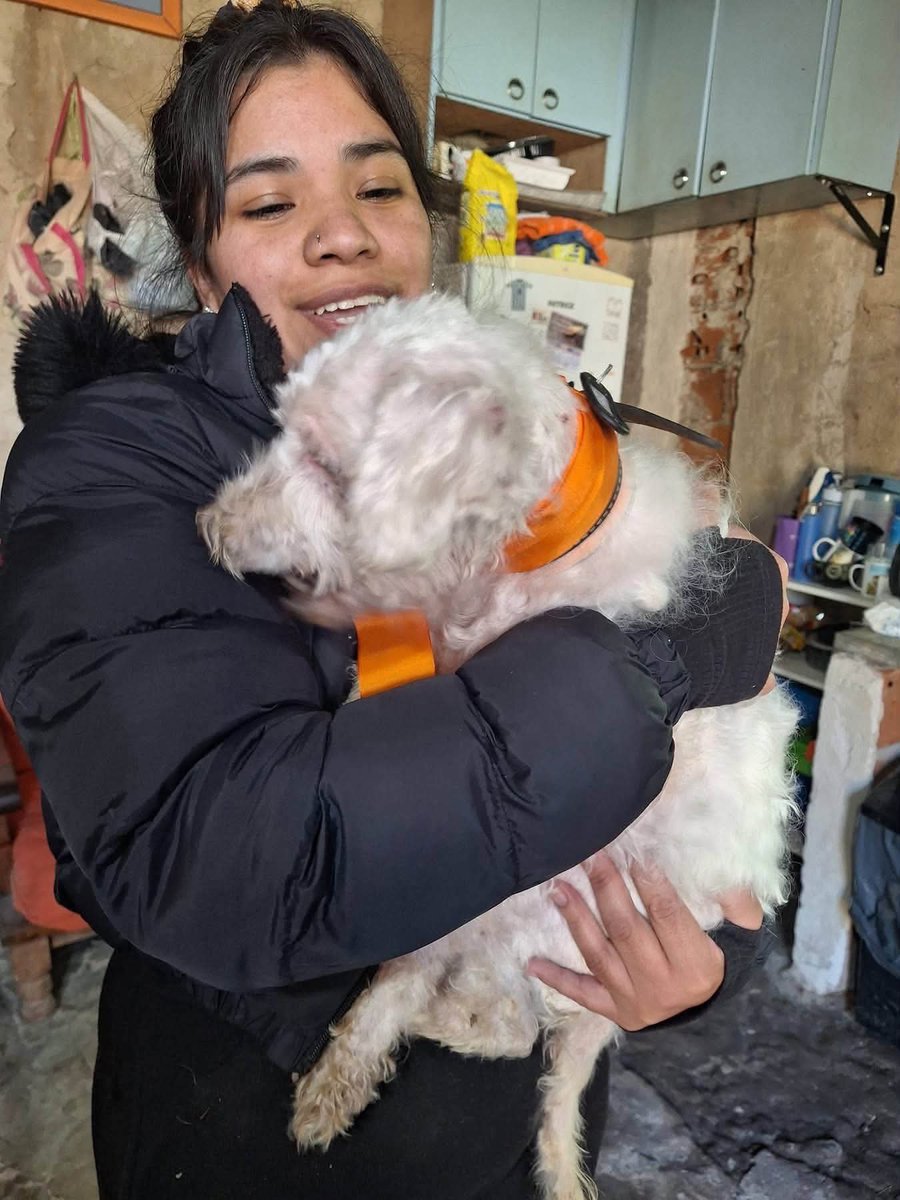 elcampito's tweet photo. Terak tiene una condición particular: sus ojitos no atrapan la luz, no ve. Pero ve con el corazón.🧡
Hoy estamos felices de contarles que encontró una familia hermosa! 🥰

¡¡Que sean inmensamente felices juntos!!

¡¡¡TERAK ADOPTAAADOOO!!! 🥳🥳🥳👇 https://t.co/PqVRYYXd6Z