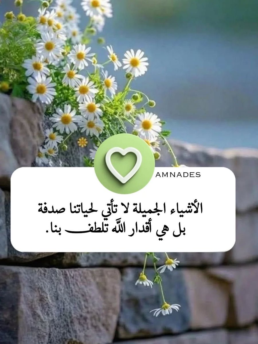 AlsahiJadaan's tweet photo. #فُجـع الحارث بن حبيب الباهلي
بمقتل أبنائه الثمانية في يوم واحد،
فثبت قلبهُ،وسكنً لسانهُ،وبينما هو كذلك،
رأىٰ رجُـلًا يبكي بحُرقة علىٰ شاةٍ أكلها الذئب؛
فنظر إليـهِ الحارث بعين من ذاق الفقد،
ومدَّ لهُ ناقةً من إبله
وقال:خُذ الناقة بشاتك ودع البكاء لأهله‼️

📚 [ #العِقد_الفريد ] https://t.co/gghYTHC1ZR