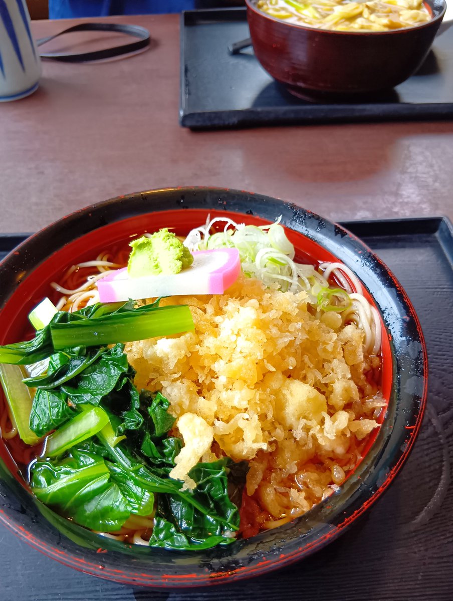 eitaromama's tweet photo. この前葉山の松喜庵で冷やしたぬき蕎麦食べてきた〜！
お蕎麦、コシがあって美味しい✨
葉山にあるのにお値段もお安くそして何より蕎麦の量が大盛り〜😆
普通の女性には多いと思います💦私はペロリ🙄 https://t.co/5SArTuLnNS