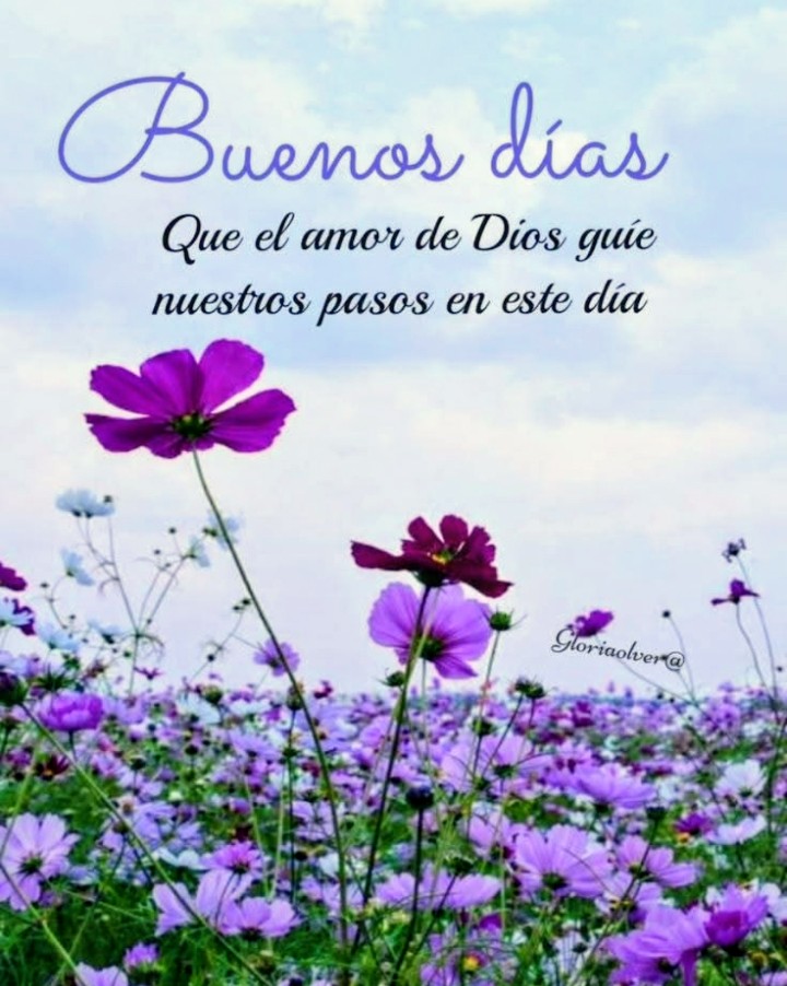 cordobalrey's tweet photo. @RAFABENYU040264 @ACallass @pennnylannnee @Pennnylannneee2 @DianaJi21124081 @SusanaJimePa @Venancioopinon @wzepolemiaj @CesarGu34940330 @clobde https://t.co/euVP173ccN