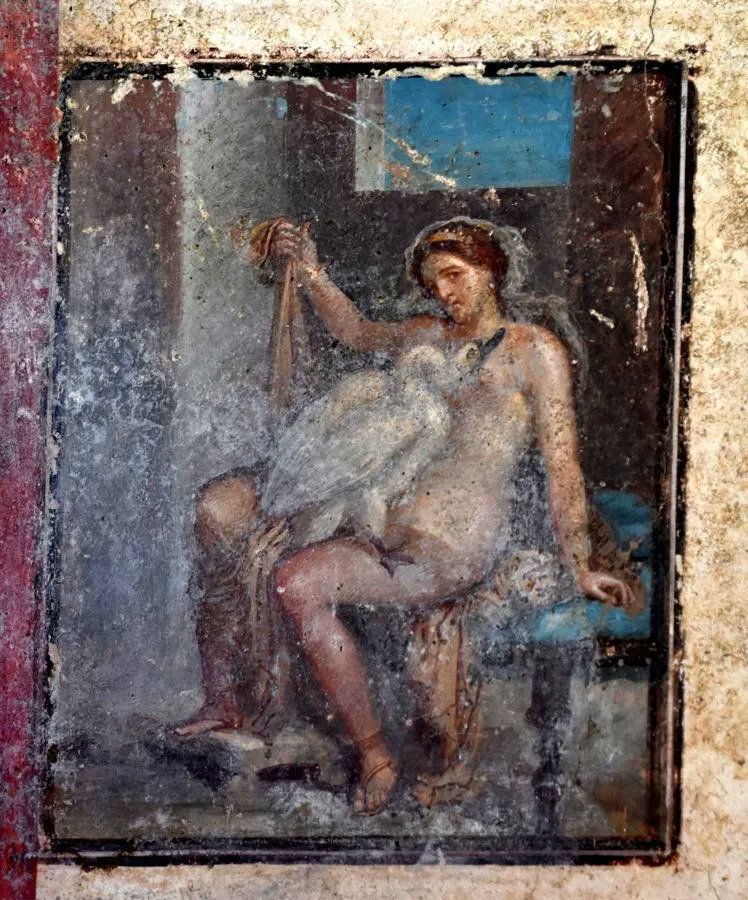 archeohistories's tweet photo. In 19th Century, the archaeologists tasked with excavating Pompeii and Herculaneum ran into a problem: Everywhere they turned, they found erotic art, from frescoes of copulating couples to sculptures of nude, well-endowed gods. At a time when sex was widely considered shameful or even obscene, officials deemed the images too explicit for the general public. Instead of placing the artifacts on view, staff at the Museo Archeologico Nazionale di Napoli stashed them in a secret room closed to all but scholars and, according to Atlas Obscura, male visitors willing to bribe their way in. Between 1849-2000, the works remained largely hidden from the public.

An exhibition at Archaeological Park of Pompeii titled “Art and Sensuality in Houses of Pompeii” draws on selections from secret room and other sensual images unearthed in the ancient city to demonstrate the ubiquity of erotic imagery in Roman world. The show’s marquee attraction is a fresco of myth of Leda and the swan. Discovered in 2018, scene depicts the moment when the god Zeus, disguised as a swan, either rapes or seduces Leda, queen of Sparta. Later, legend holds, Leda laid two eggs that hatched into children: Pollux and Helen, whose “face … launched a thousand ships” by sparking the Trojan War.

Painted on the wall of a Pompeiian bedroom, artwork shows a nude Leda smiling invitingly as a swan nuzzles against her chest. “[The scene] sends a message of sensuality,” Massimo Osanna, then-director of the archaeological park, told CNN’s Barbie Latza Nadeau and Hada Messia in 2019. “It means, ‘I am looking at you and you are looking at me while I am doing something very, very special.’ It is very explicit. Look at her naked leg, the luxurious sandal.”

House of Leda and Swan fresco is one of 70 artworks featured in the exhibition, which is accompanied by an app and guide contextualizing show for children. Per a statement, sensual art from a fresco of Priapus, Greek god of fertility and male genitalia, weighing his penis on a scale, to a pair of medallions depicting satyrs, cupids and nymphs found on a ceremonial chariot outside of Pompeii last year—appeared in both private homes and public spaces such as taverns, baths and brothels.

“Eroticism was everywhere … thanks to the influence of the Greeks, whose art heavily featured nudity,” the park’s current director, Gabriel Zuchtriegel, tells Tom Kington of the London Times.

Speaking with Jez Fielder of Euronews, exhibition curator Maria Luisa Catoni says that Pompeii’s depictions of sex and nudity conveyed “values like being culturally elevated, being part of a larger high culture” exemplified by Romans’ predecessors, ancient Greeks. At a time when polytheism, not Christianity, was norm, sexual pleasure embraced proudly by very gods Romans worshipped was cause for celebration.

“The Greeks approached the human form with no sense that nudity was inherently shameful,” wrote Geoffrey R. Stone, author of Sex and the Constitution, for the Washington Post in 2017. “To the contrary, the phallus was a potent symbol of fertility, a central theme in Greek religion.”

© Smithsonian Magazine

#archaeohistories
