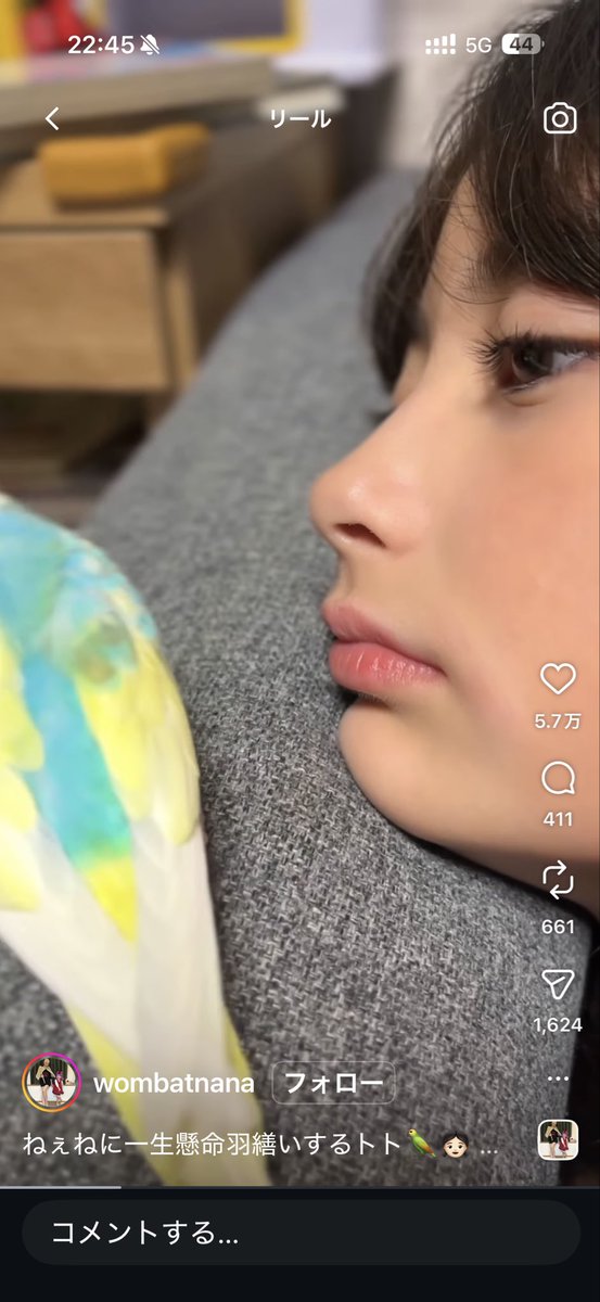 hanashuchnku's tweet photo. しぬこの女の子の鼻唇角つよすんぎ

これからまた鼻高くなるやろうし
既に涙袋も二重も完璧
人中も短くて唇もくるんてしてる
ナジオンの位置も完璧で
鼻中隔も出てるししかも
まつパせずにこのまつ毛

前世で国3個くらい救った？？

もう来世に期待全投げして
今からウクライナ行ってこよかな https://t.co/kQPa8pHVkT