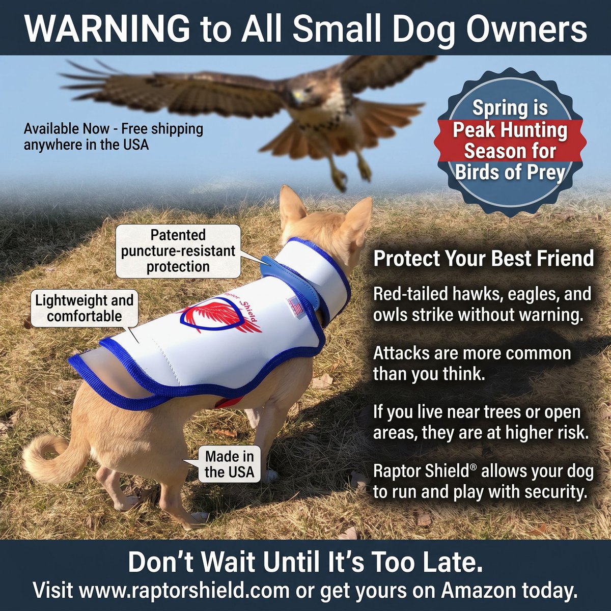 RaptorShieldInc's tweet photo. Warning to all small dog owners: Summer is here 🐾That means more time outside—and more risk from predators like hawks, owls, eagles, and coyotes that can strike in seconds. Raptor Shield® is designed specifically for small dogs, with a Patented puncture‑resistant protection• Lightweight, comfortable design for everyday wear• Reflective trim for added visibility• Adjustable fit to grow with your pup• No Spikes Needed / Proudly made in the USA 🇺🇸Give your best friend the protection they deserve this summer. Shop now at https://t.co/9RcbJ1QVOB / https://t.co/zm5X8vL3rh — free shipping anywhere in the USA.#RaptorShield #SmallDogSafety #DogMomLife #DogDadLife